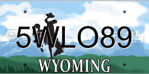 5WLO89 Wyoming License Plate
