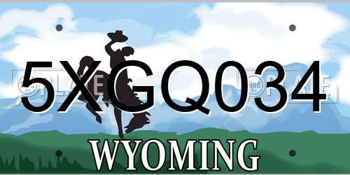 5XGQ034 Wyoming License Plate