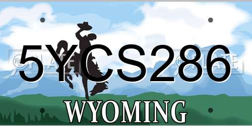 5YCS286 Wyoming License Plate