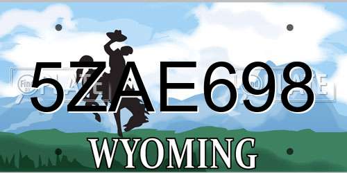 5ZAE698 Wyoming License Plate