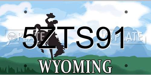 5ZTS91 Wyoming License Plate