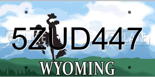 5ZUD447 Wyoming License Plate