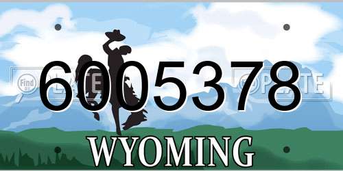 6005378 Wyoming License Plate