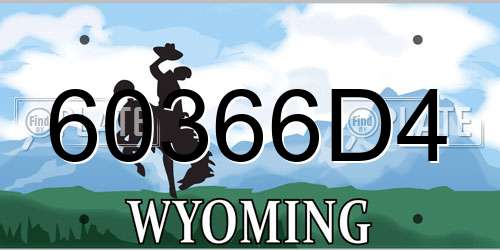 60366D4 Wyoming License Plate