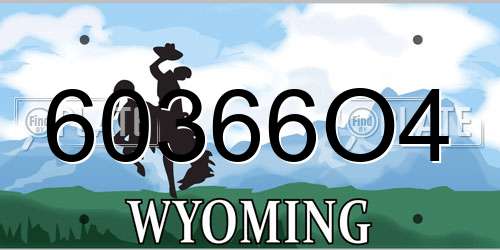 60366O4 Wyoming License Plate