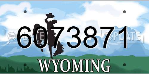 6073871 Wyoming License Plate