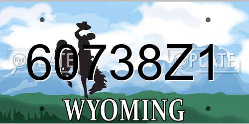 60738Z1 Wyoming License Plate