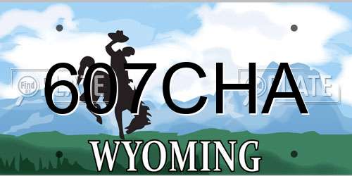 607CHA Wyoming License Plate