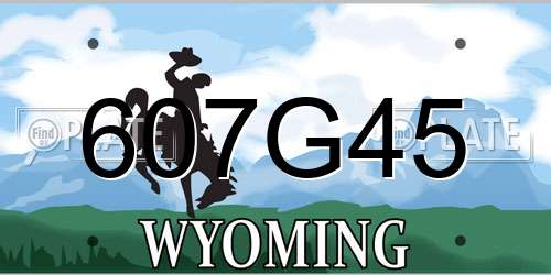 607G45 Wyoming License Plate