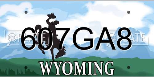 607GA8 Wyoming License Plate