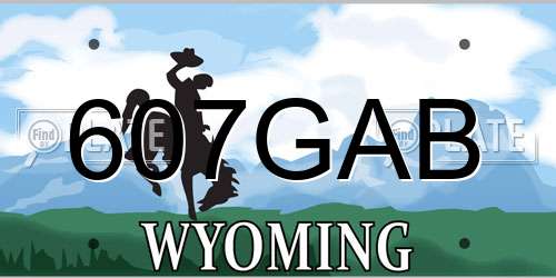 607GAB Wyoming License Plate