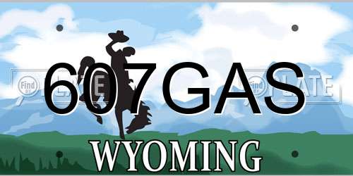 607GAS Wyoming License Plate