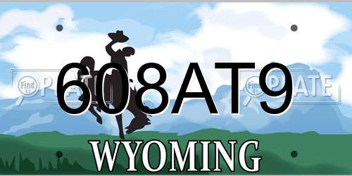 608AT9 Wyoming License Plate