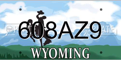 608AZ9 Wyoming License Plate