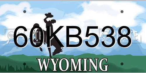 60KB538 Wyoming License Plate