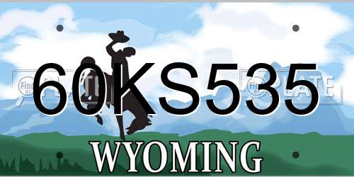 60KS535 Wyoming License Plate