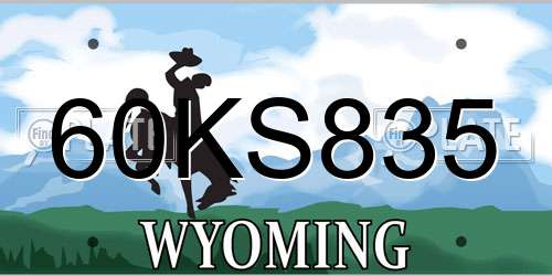 60KS835 Wyoming License Plate