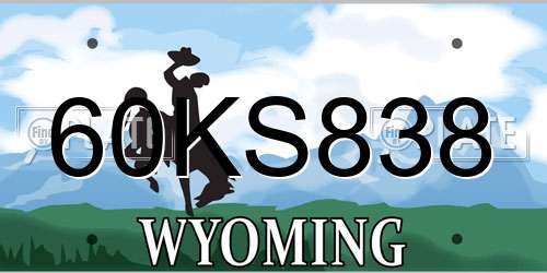 60KS838 Wyoming License Plate