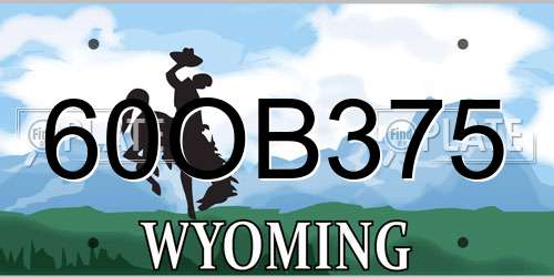60OB375 Wyoming License Plate