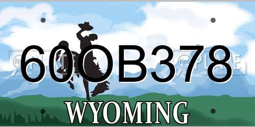 60OB378 Wyoming License Plate
