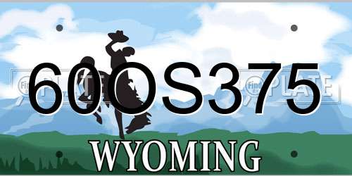 60OS375 Wyoming License Plate