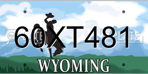 60XT481 Wyoming License Plate