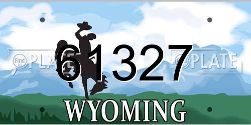61327 Wyoming License Plate