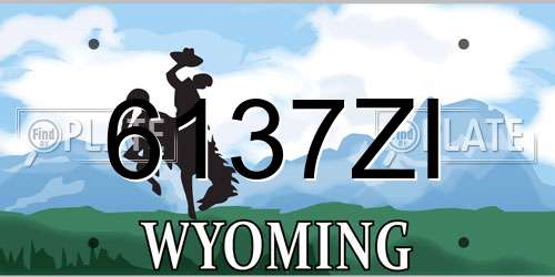 6137ZI Wyoming License Plate