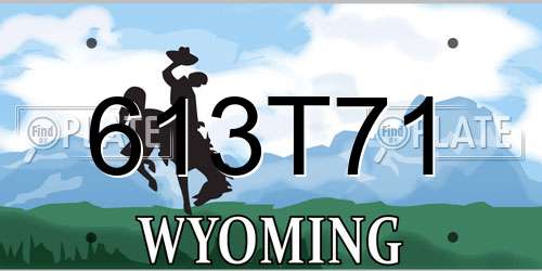 613T71 Wyoming License Plate