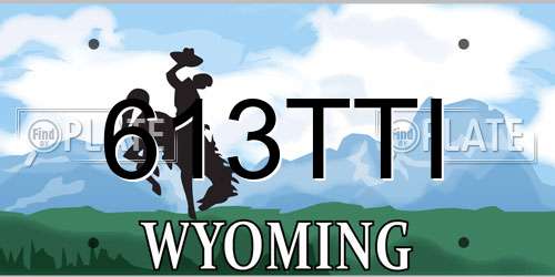 613TTI Wyoming License Plate