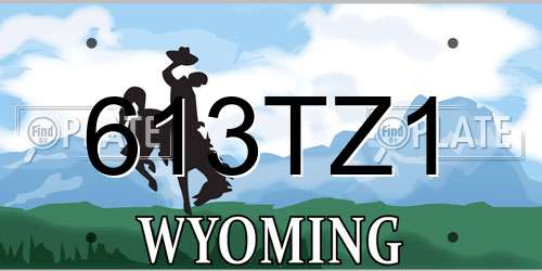 613TZ1 Wyoming License Plate
