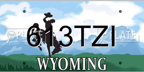 613TZI Wyoming License Plate