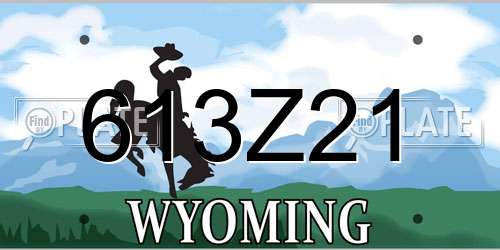 613Z21 Wyoming License Plate