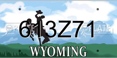 613Z71 Wyoming License Plate