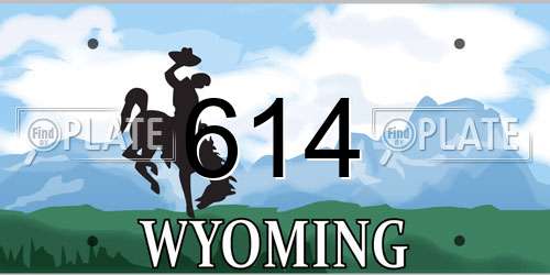614 Wyoming License Plate