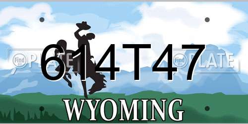 614T47 Wyoming License Plate