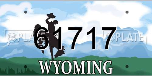 61717 Wyoming License Plate