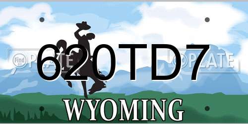 620TD7 Wyoming License Plate