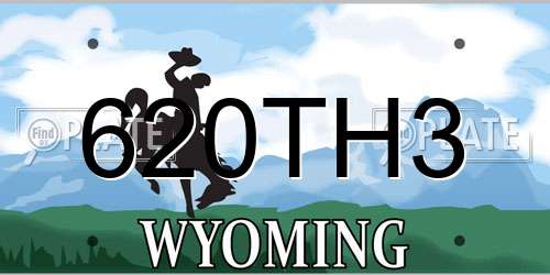 620TH3 Wyoming License Plate
