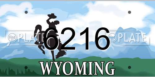 6216 Wyoming License Plate