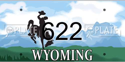 622 Wyoming License Plate