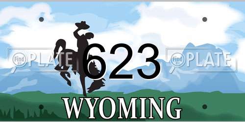 623 Wyoming License Plate