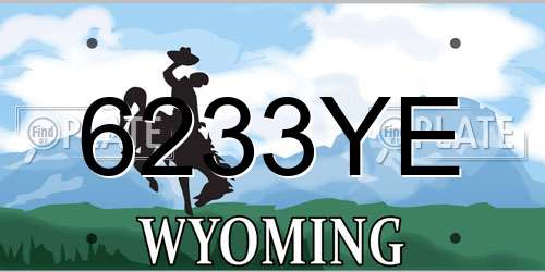 6233YE Wyoming License Plate