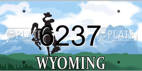 6237 Wyoming License Plate