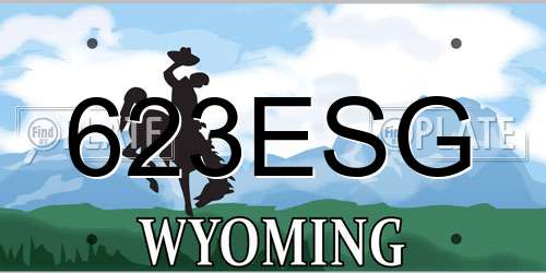 623ESG Wyoming License Plate