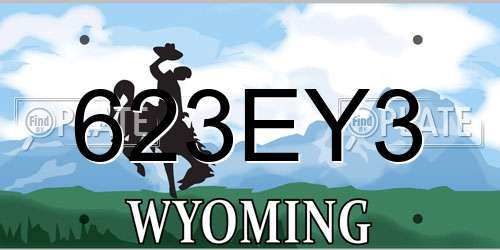 623EY3 Wyoming License Plate