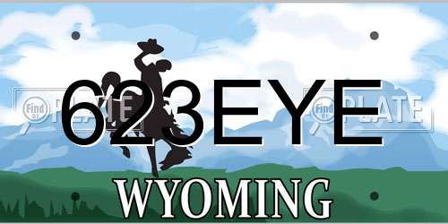 623EYE Wyoming License Plate