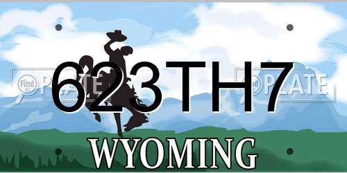 623TH7 Wyoming License Plate