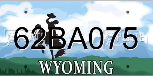 62BA075 Wyoming License Plate