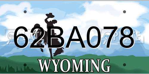 62BA078 Wyoming License Plate